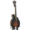 Mandolino Loar LM-520-VS Performer
