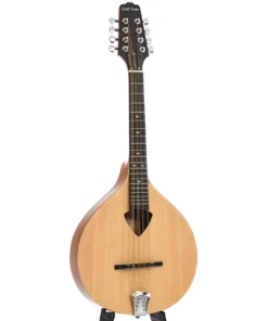Gold Tone Mandola