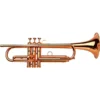 Tromba Professionale Adams A9 Selected Series