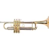 Tromba Adams Prologue Selected Series Intermediate Bb Laccata