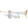 Tromba Professionale Bach 180S37 Stradivarius