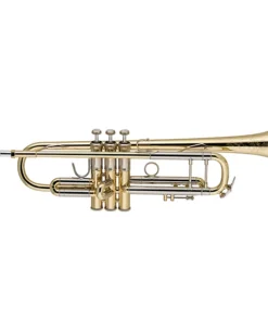 Tromba Professionale Bach 190 Stradivarius 37 Series in Sib – Eccellenza Musicale senza Tempo
