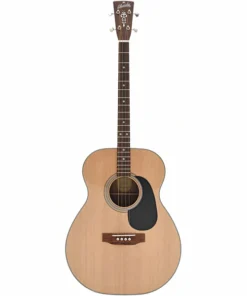 Blueridge BR-60T – Chitarra Tenore di Alta Qualità