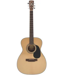 Bristol BM-16 Chitarra Acustica 000