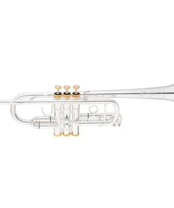 Tromba Eastman ETR530GS Advanced Series in Do – Eccellenza per Musicisti Esperti