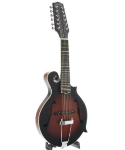 Gold Tone F-12 Manditar a 12 corde