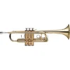 Tromba in Do Stagg WS-TR255 – Strumento Didattico di Alta Qualità con Finitura Laccata Chiara