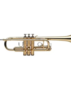 Tromba in Do Stagg WS-TR255 – Strumento Didattico di Alta Qualità con Finitura Laccata Chiara