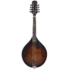 Northfield Workshop NFM-A5 Model M Mandolin