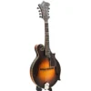 Northfield Workshop S-Series NFS-F5 Mandolin