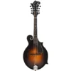 Mandolino Northfield Workshop S-Series NFS-F5WN