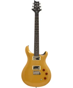 PRS SE DGT Chitarra elettrica