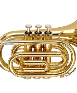 Tromba Tascabile Stagg WS-TR245S in Sib – Compatta ed Elegante con Finitura Laccata Trasparente