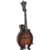 La Loar LM-310F Honey Creek F-Style Mandolin