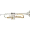 Tromba Yamaha YTR-5330MRC Serie Mariachi in Sib – Suono Vibrante e Design Elegante